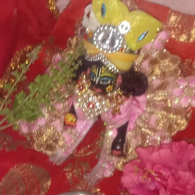 Laddugopal