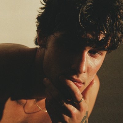 @shawnmendes twitter profile photo