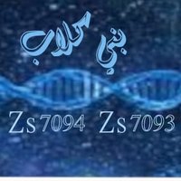 بني كلاب 🧬Zs7093+ (@mjzif) 's Twitter Profile