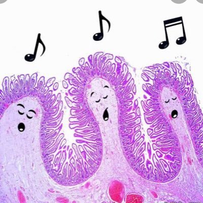 anshusi69160619's profile picture. 