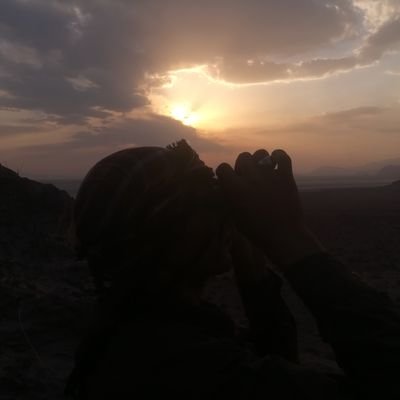 MrbMohammad's profile picture. 