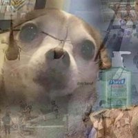Czar (@gobu__) 's Twitter Profile