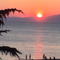 Naciye( Okur)Şişman 🇹🇷 (@naciyesisman) 's Twitter Profile