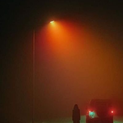 IcedCof72093494's profile picture. 🦎