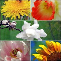 MPJ Chaplaincy (@chaplaincympj) 's Twitter Profile