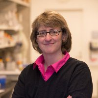 Amanda Paulovich (@amandapaulovich) 's Twitter Profile Photo Amanda Paulovich (@amandapaulovich) 's Twitter Profile Photo
