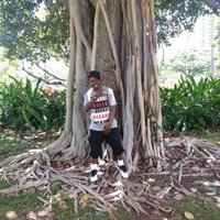 Lil Al (@lilal85855) 's Twitter Profile