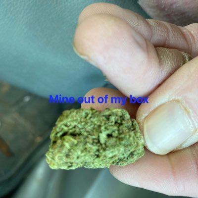 RichieChesnut's profile picture. 