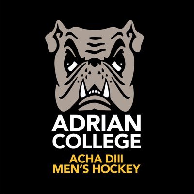 AdrianMD3Hockey Profile Picture