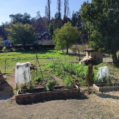 ngrp21's profile picture. 