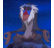 Bikotoru's profile image