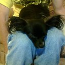 Ronald Applewhite - @RonaldApplewhit - Twitter