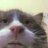 liangying_'s profile image