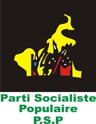 PSPCamerounais's profile picture. 