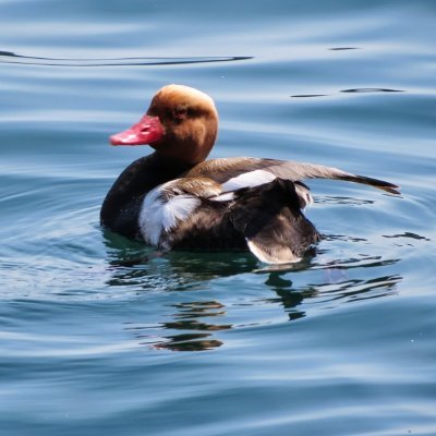 XtremeSPcom's profile picture. Here for my life projects. 
Some of them are a bit xtreme.
My thinking is xtreme compared to common people which makes me xtremely lonely at times. :-)