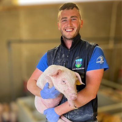 PhD Candidate in Monogastric Nutriton @UCDDublin 🐖🐓WIT & UCD Ag Graduate 🎓 Vice Chair of @tullowagshow & board member of @irish_shows. Carlow 🏡