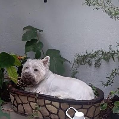 justo_pulido's profile picture. Creo, que cada momento es una oportunidad para apoyar al prójimo, nunca se sabe cuando requerirás de el. (Viendo todo por conveniencia, si lo quieres ver así).