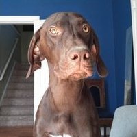 Aaron Womack (@womackaaronc) 's Twitter Profile