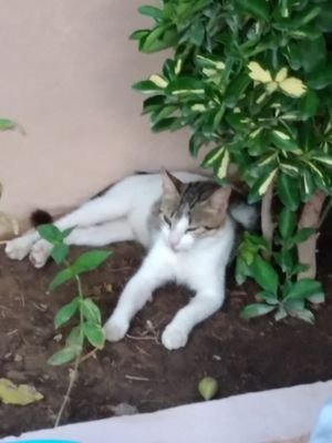 squ_vca5's profile picture. Ενα & ένα =δυο 👌👌👌