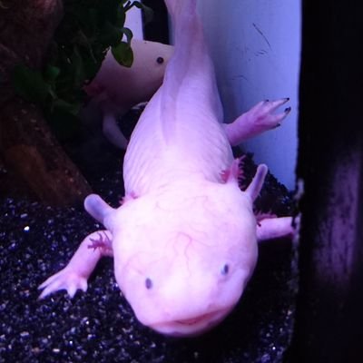 棗さんのプロフィール画像