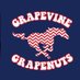 GHS Grapenuts (@gvine_grapenuts) Twitter profile photo GHS Grapenuts (@gvine_grapenuts) Twitter profile photo
