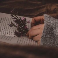 هدير عبدالله (@hadeer72492218) Twitter profile photo