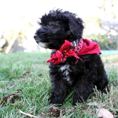 obme57's profile picture. I do what Oprah says