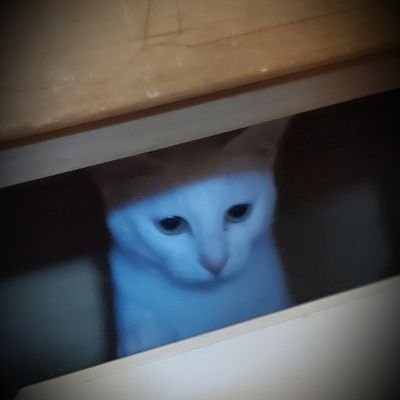 yamakaisan07's profile picture. 