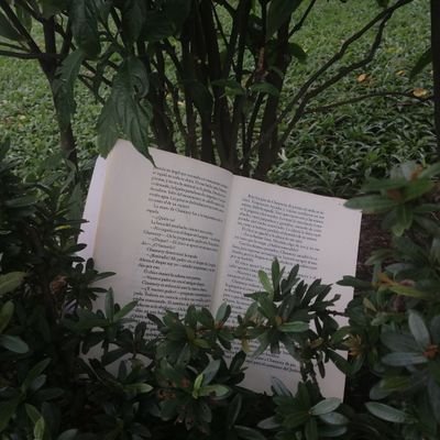 lasnotasdealeja's profile picture. Muchos de mis pensamientos no pueden salir por mi boca porque suele herir susceptibilidades