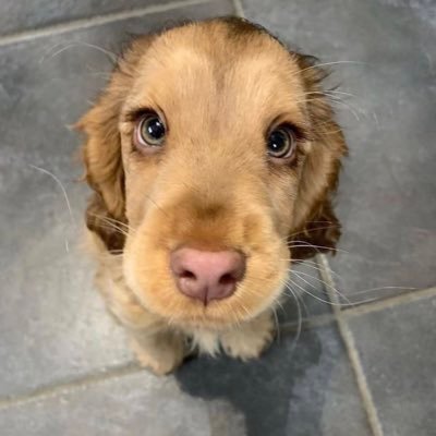 thabitchclara's profile picture. celestial being💎