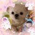 ꔛ✿ ꒰หมาทอด꒱ ✿ꔛ (@dlwlqlegb) Twitter profile photo ꔛ✿ ꒰หมาทอด꒱ ✿ꔛ (@dlwlqlegb) Twitter profile photo