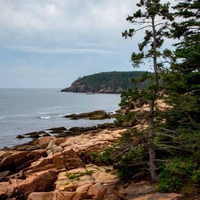 SAM0877's profile picture. Girl Momma, Christian, Conservative, taking the narrow path!