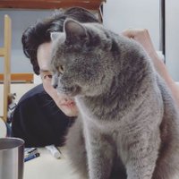 TeppeiSoutome 五月女哲平 (@tepppppei) 's Twitter Profile