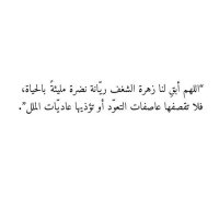 njood (@alkalbani9212) Twitter profile photo