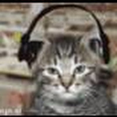 skoebiedoe2's profile picture. ben bijzonder onbijzonder