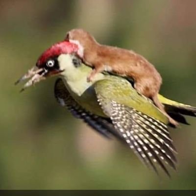 BruceAd74973318's profile picture. 