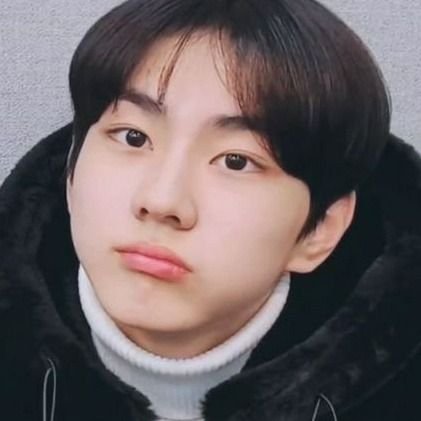 i opted to stan enhypen, and i thank myself for what i did ฅ^•ﻌ•^ฅ