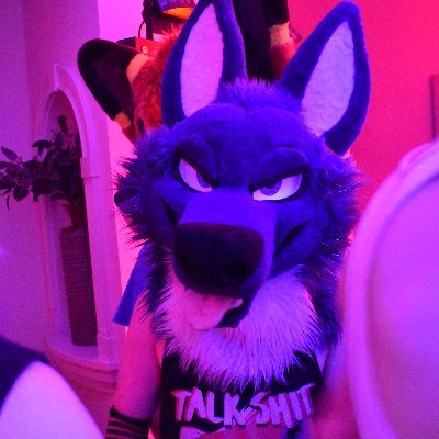 ⚡️ Smol husky in Tennessee. 32, demi-pan, taken, closed (me), poly 🤍💜Sterling💜🤍 🧡💜Silver💜🧡 @Furtasticstudio suiter.⚡️