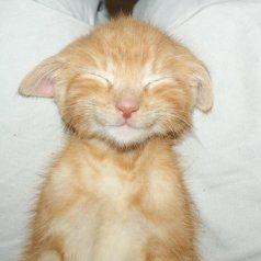 XRFkWT6R7EalPZc's profile picture. 