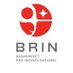 BRIN Indonesia (@brin_indonesia) Twitter profile photo