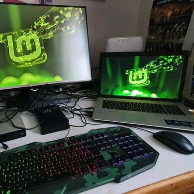guardianpeac's profile picture. life is good