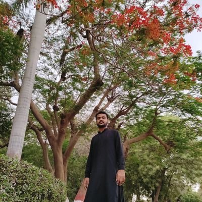 sarfraz_vistro's profile picture. student