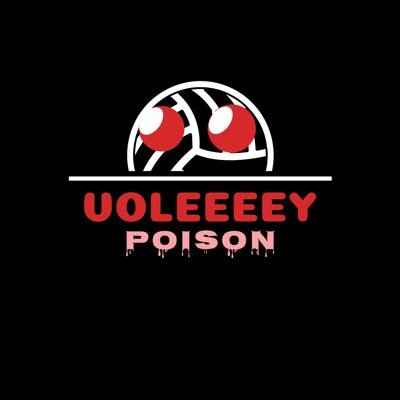 プログラマー兼キャリアコンサルタント → ITインストラクター。 オフシーズンはバックエンドエンジニア。バレーはほぼ隠居。