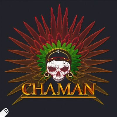 Streamer de Twitch 
Organizador de Torneos de Gears 🤘
IG @Chamanahuay