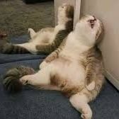 AdamRoblox7's profile picture. Join me at roblox @sadboi375