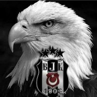 Asi Kartal (@bilalyorulmaz38) 's Twitter Profile