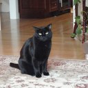 Cathy Holbrook - @cmholbrook - Twitter