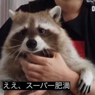 kami78128420's profile picture. TOEFL勉強中 人生迷子 脂肪は蓄え系 働くって何でしょう？