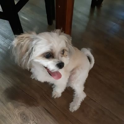 ilsimin2さんのプロフィール画像