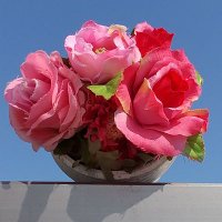 葉崎あかり (@akari_hazaki) 's Twitter Profile